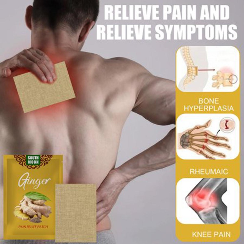 10pcs/bag Aching Hot Compress Ginger Paste Patches Joint Shoulder Arthritis Back Knee Pain Reliever Patch Herbal Medical Plaster(২ পিছ)