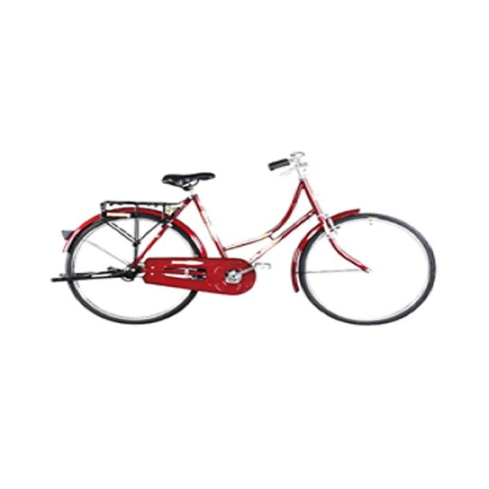 Duranta Steel 1-Spd Durjoy Ladies 26" 804465