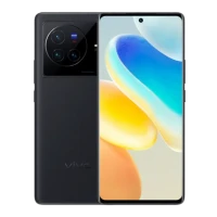 Vivo X80